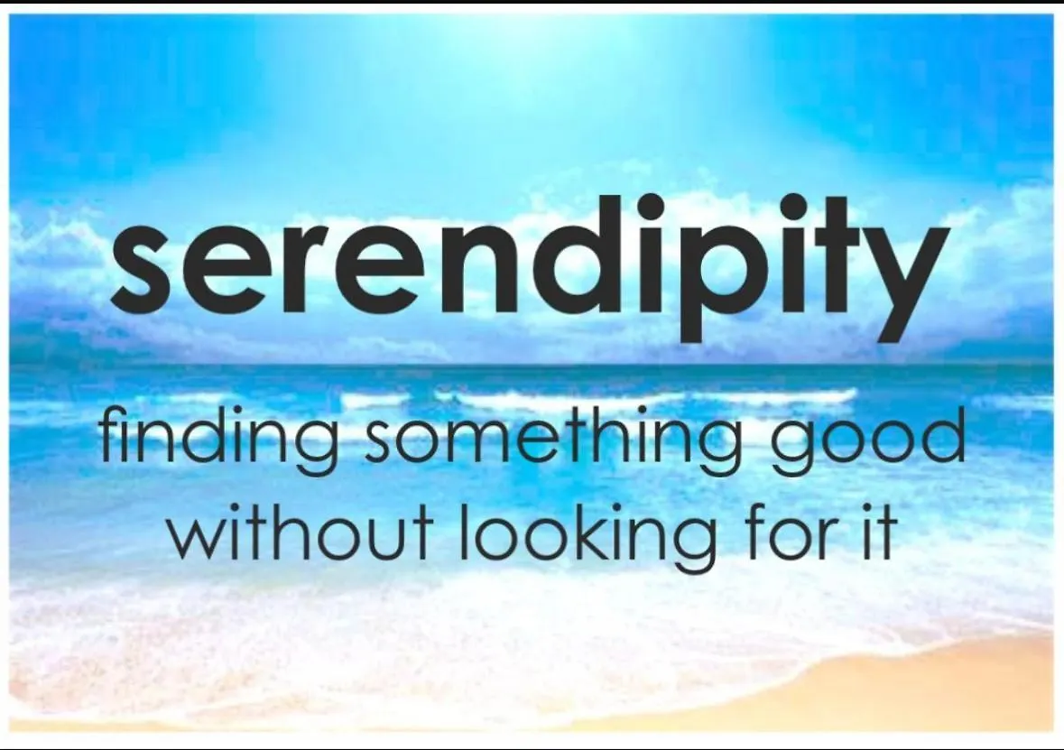 Serendipity La Spezia